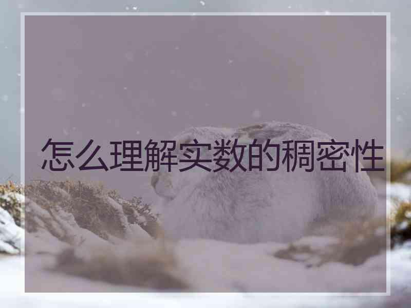 怎么理解实数的稠密性