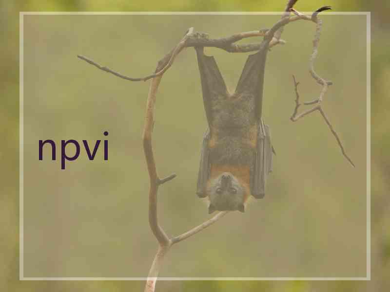 npvi