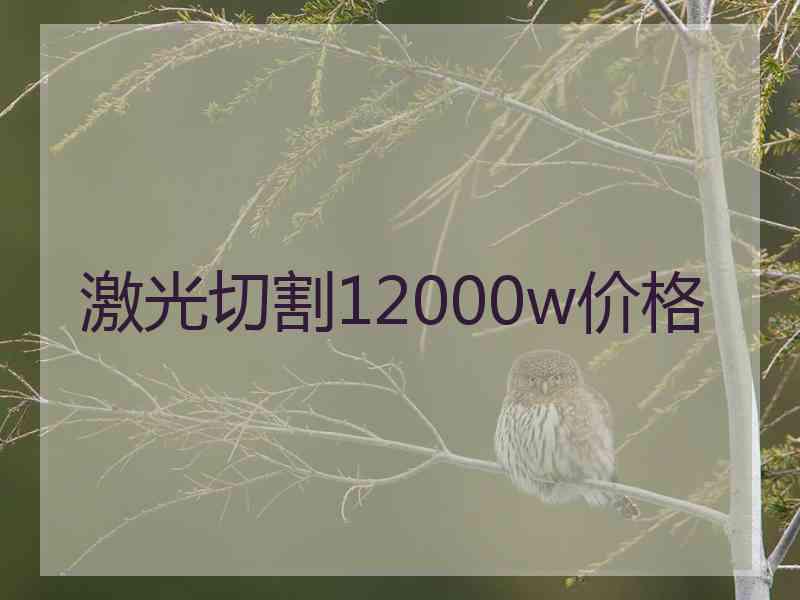 激光切割12000w价格