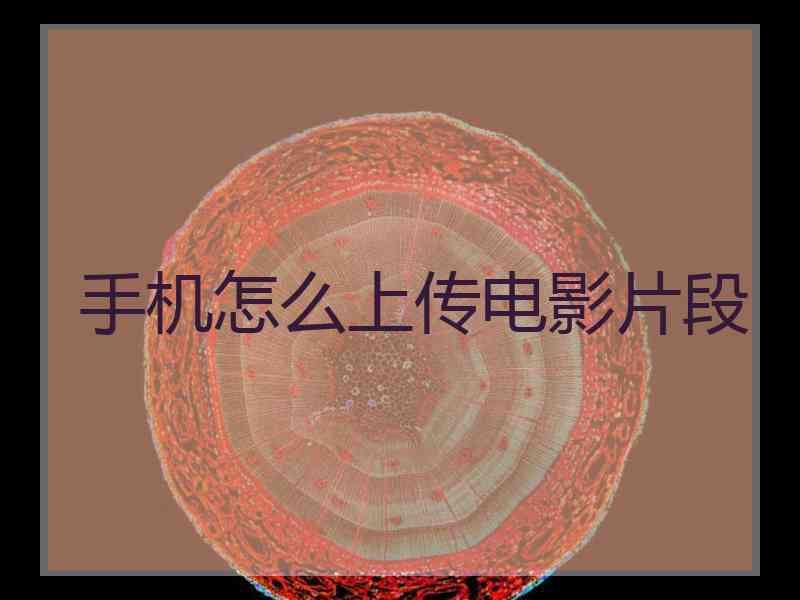 手机怎么上传电影片段