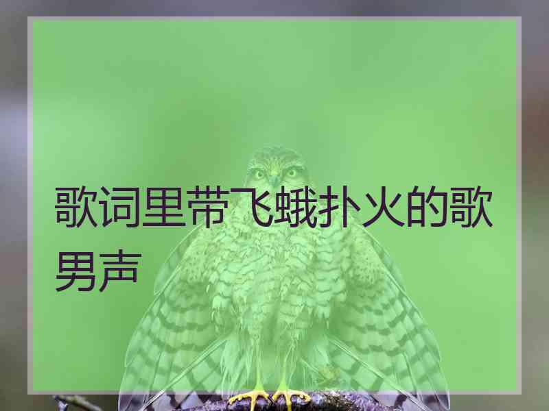 歌词里带飞蛾扑火的歌男声
