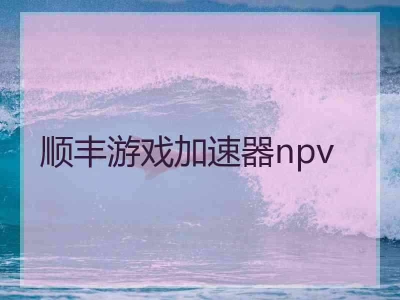 顺丰游戏加速器npv