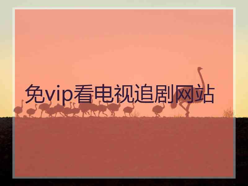 免vip看电视追剧网站