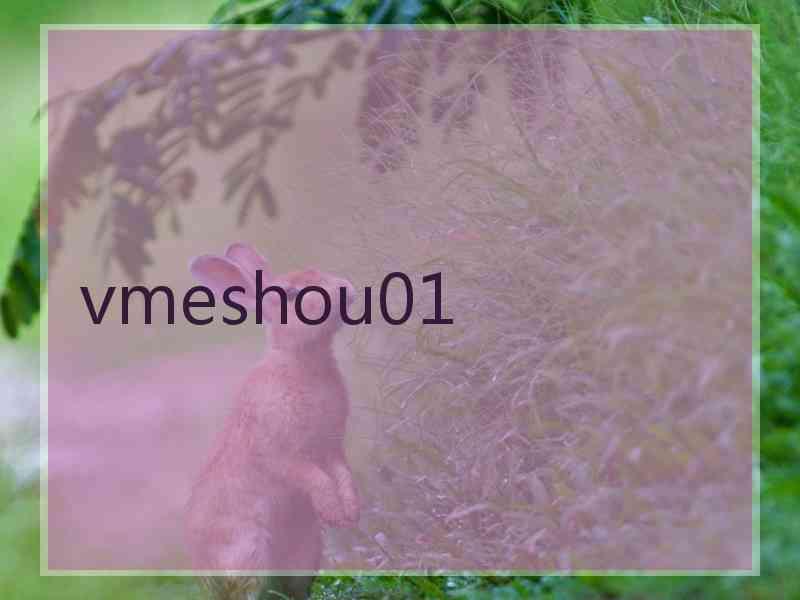 vmeshou01