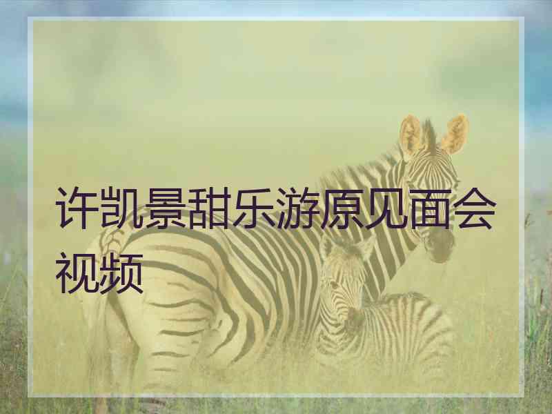 许凯景甜乐游原见面会视频