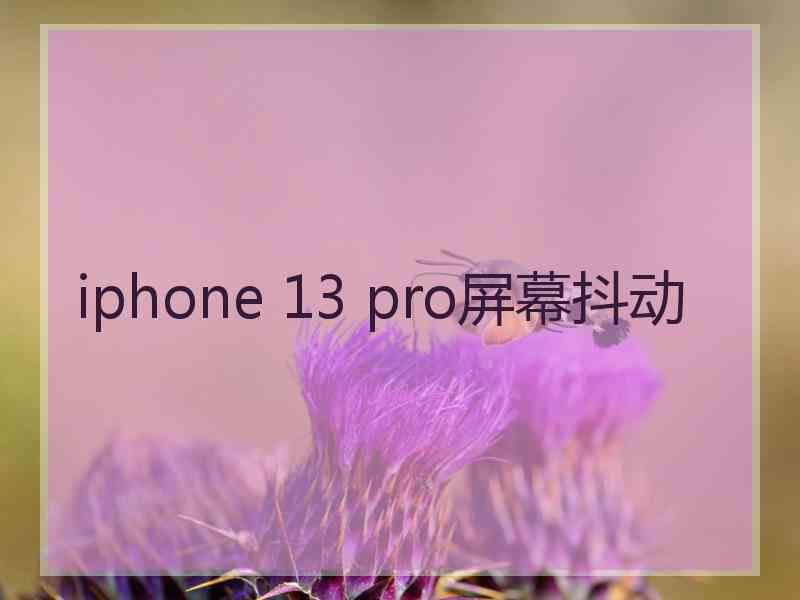 iphone 13 pro屏幕抖动