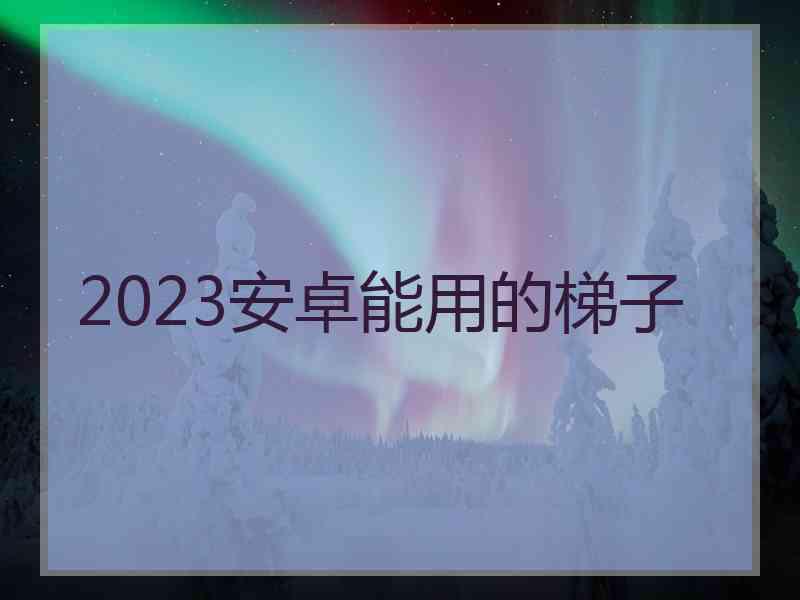 2023安卓能用的梯子