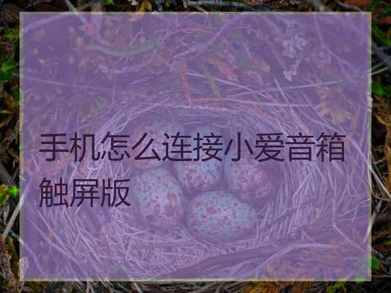 手机怎么连接小爱音箱触屏版