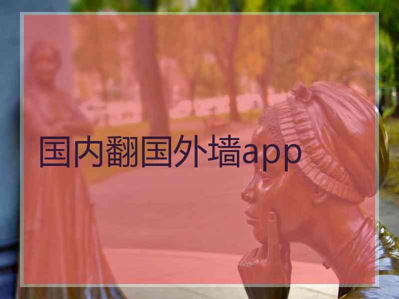 国内翻国外墙app