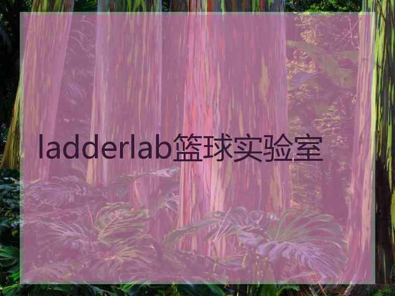 ladderlab篮球实验室