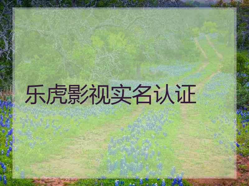 乐虎影视实名认证