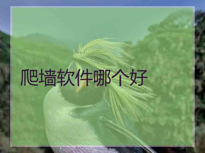 爬墙软件哪个好