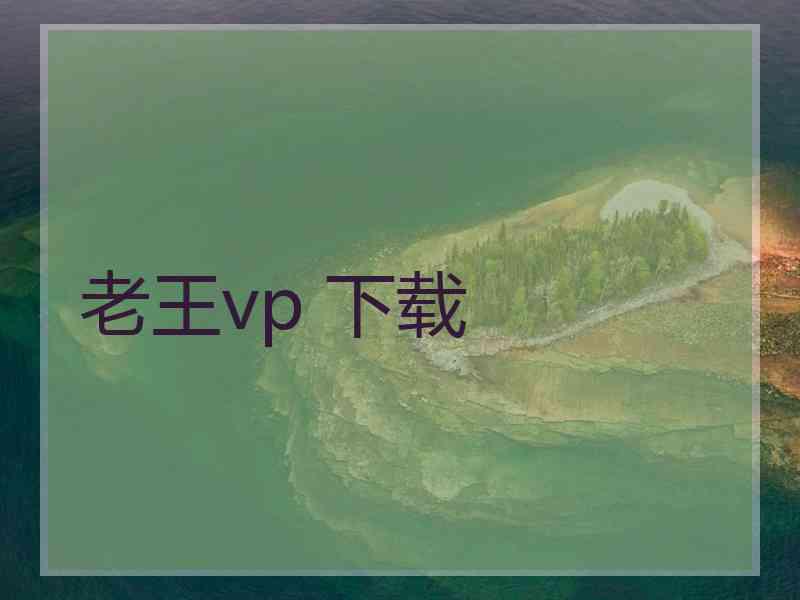 老王vp 下载