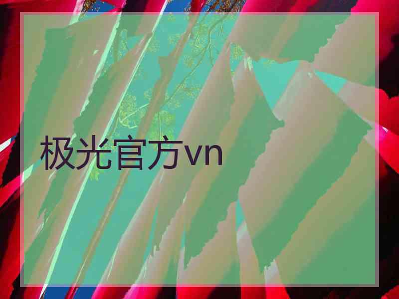极光官方vn