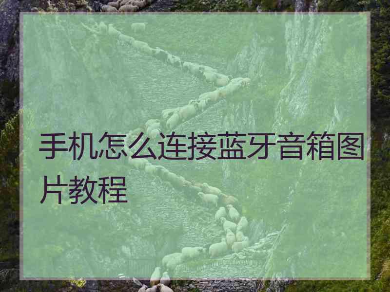 手机怎么连接蓝牙音箱图片教程