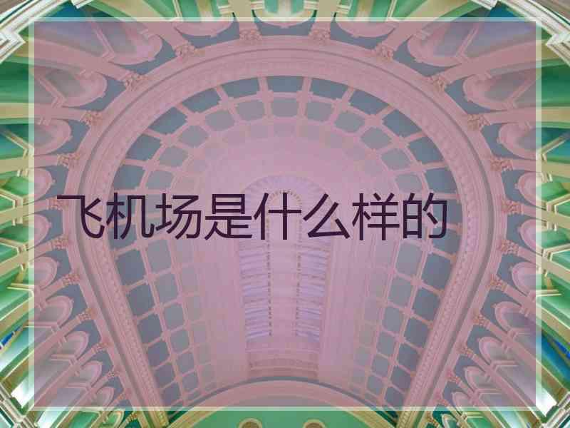 飞机场是什么样的