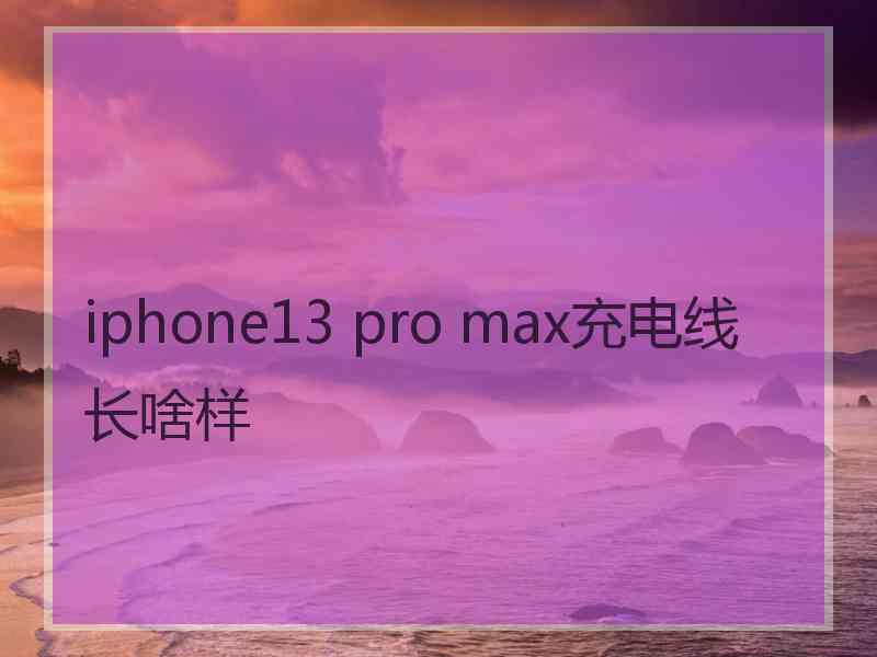 iphone13 pro max充电线长啥样