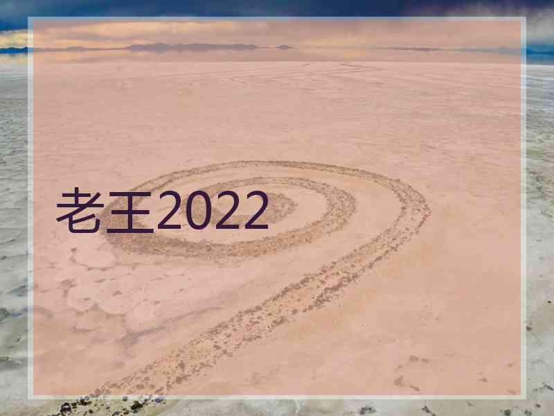 老王2022