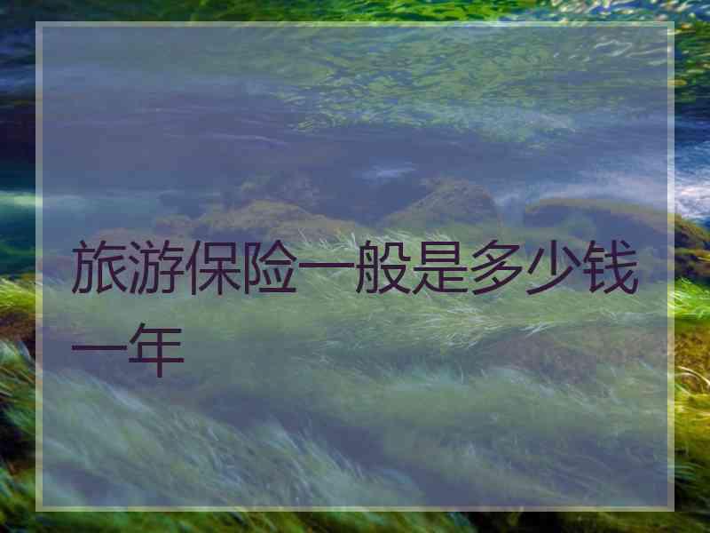 旅游保险一般是多少钱一年