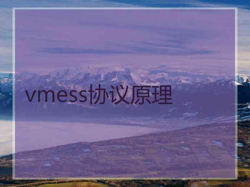 vmess协议原理