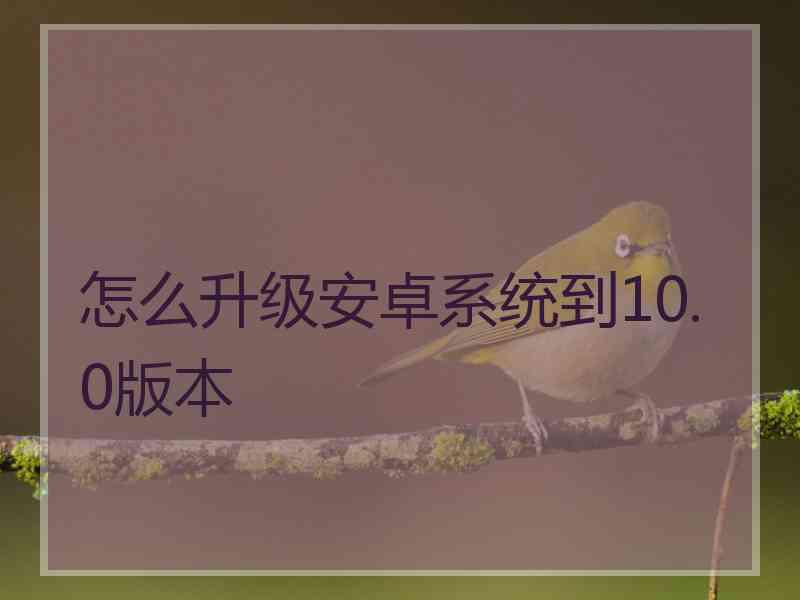 怎么升级安卓系统到10.0版本