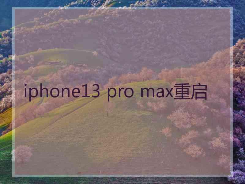 iphone13 pro max重启