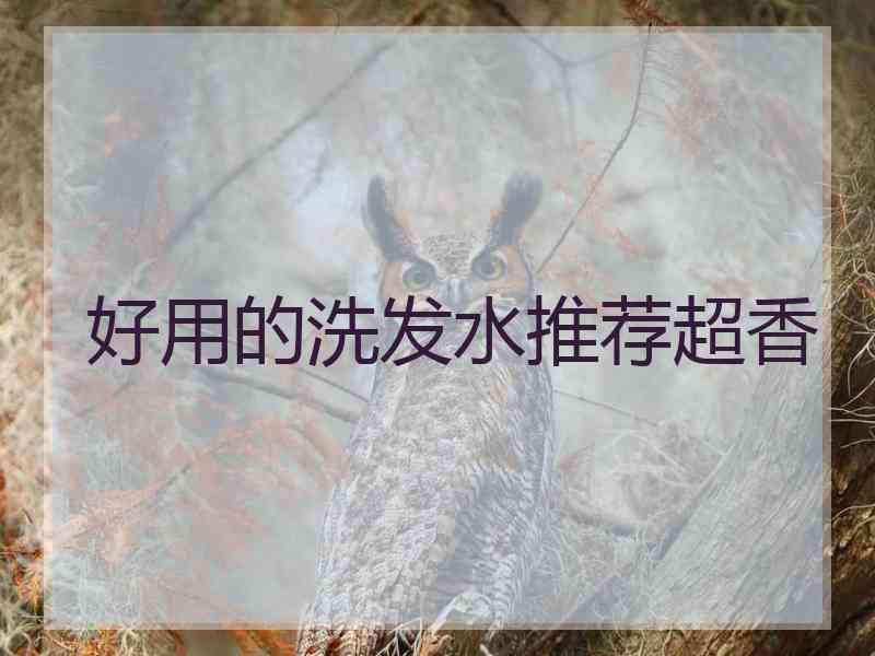 好用的洗发水推荐超香
