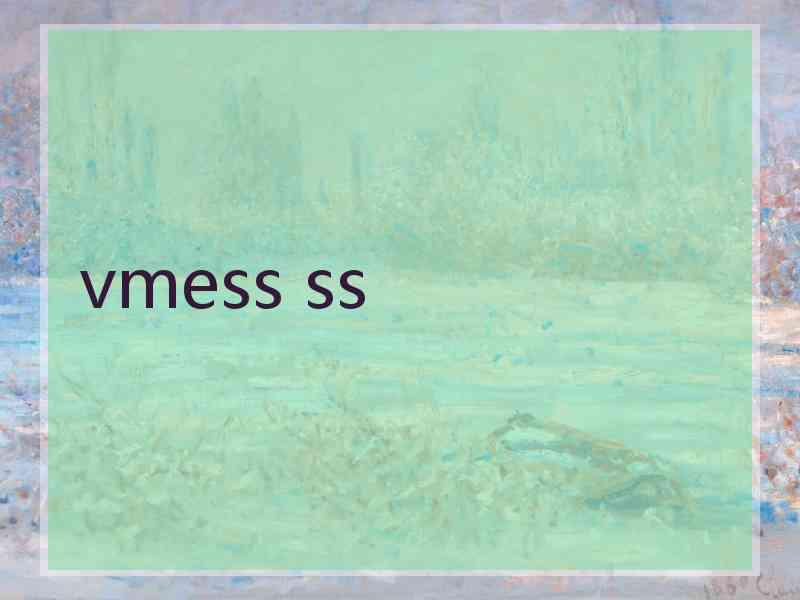 vmess ss