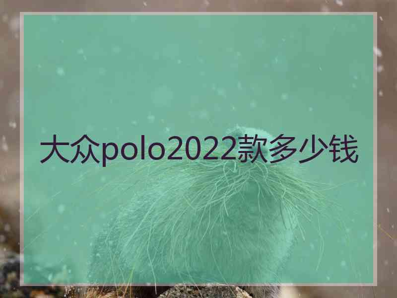大众polo2022款多少钱