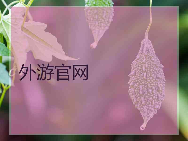 外游官网