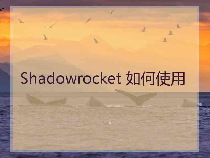 Shadowrocket 如何使用