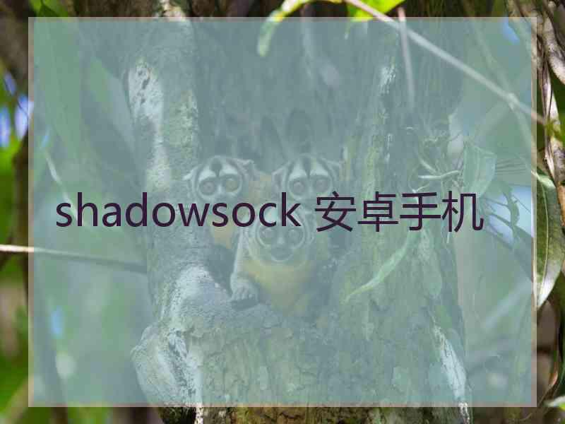 shadowsock 安卓手机