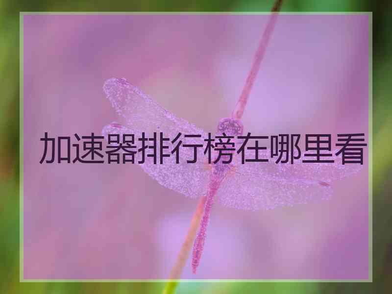 加速器排行榜在哪里看