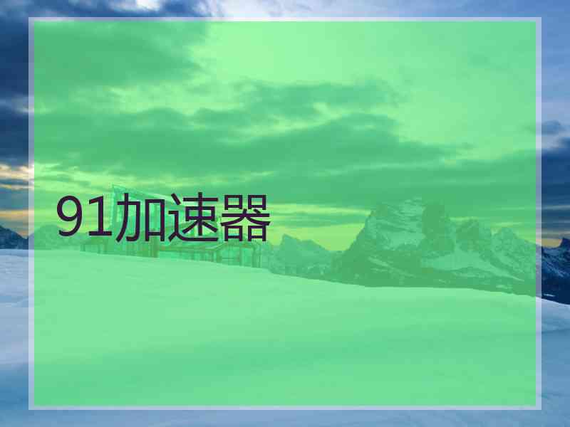 91加速器