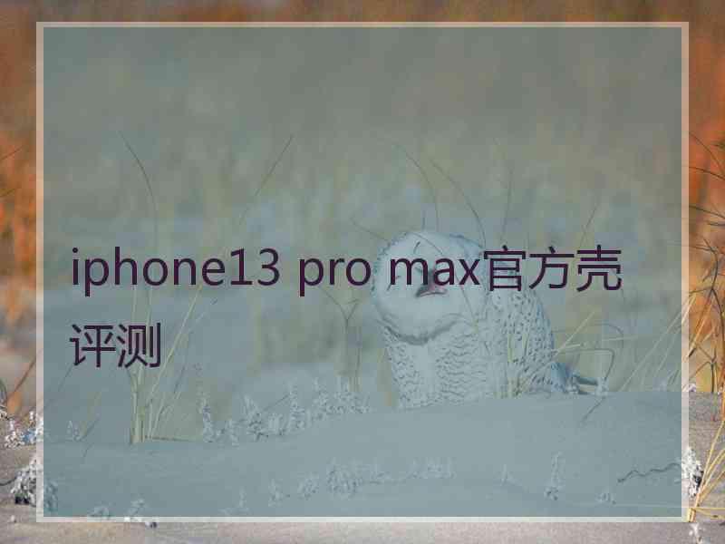 iphone13 pro max官方壳评测