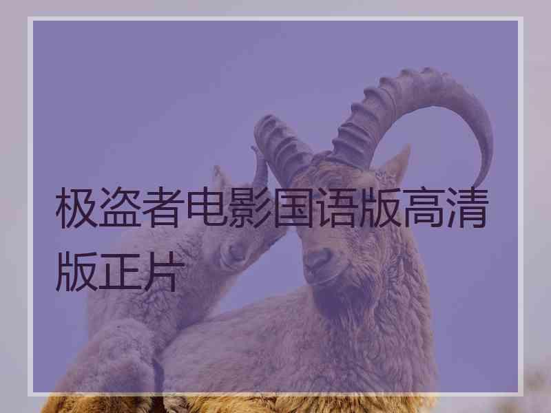 极盗者电影国语版高清版正片