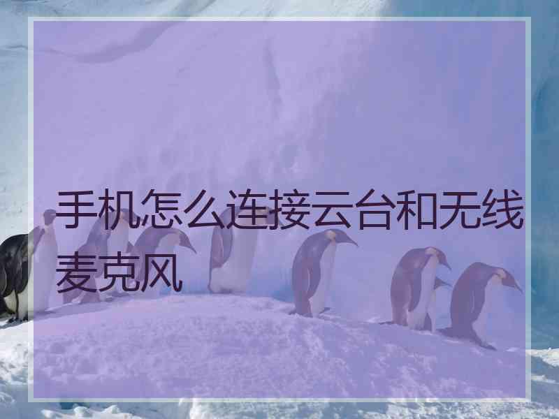 手机怎么连接云台和无线麦克风
