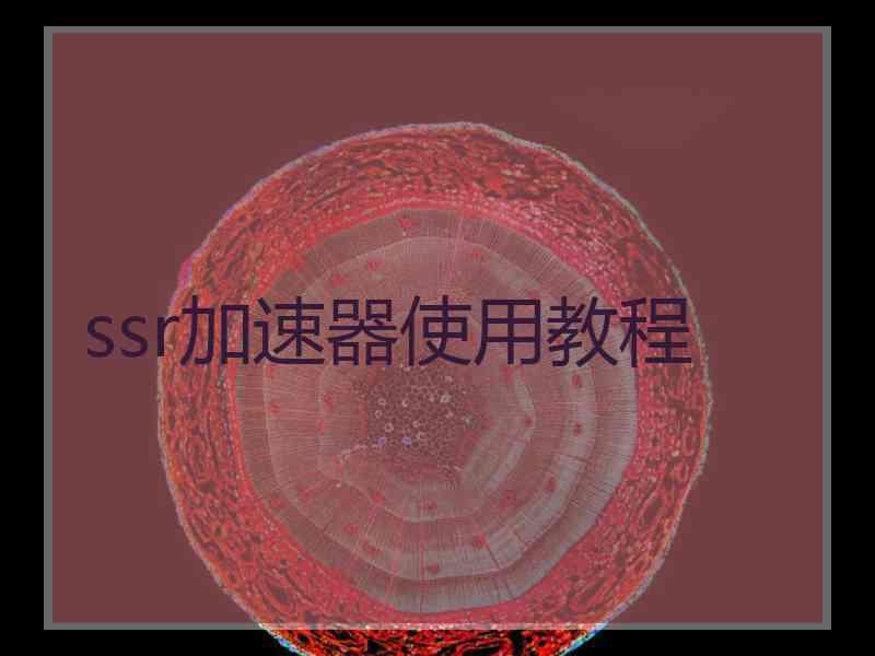 ssr加速器使用教程