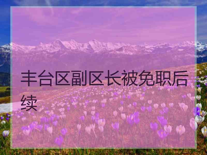 丰台区副区长被免职后续