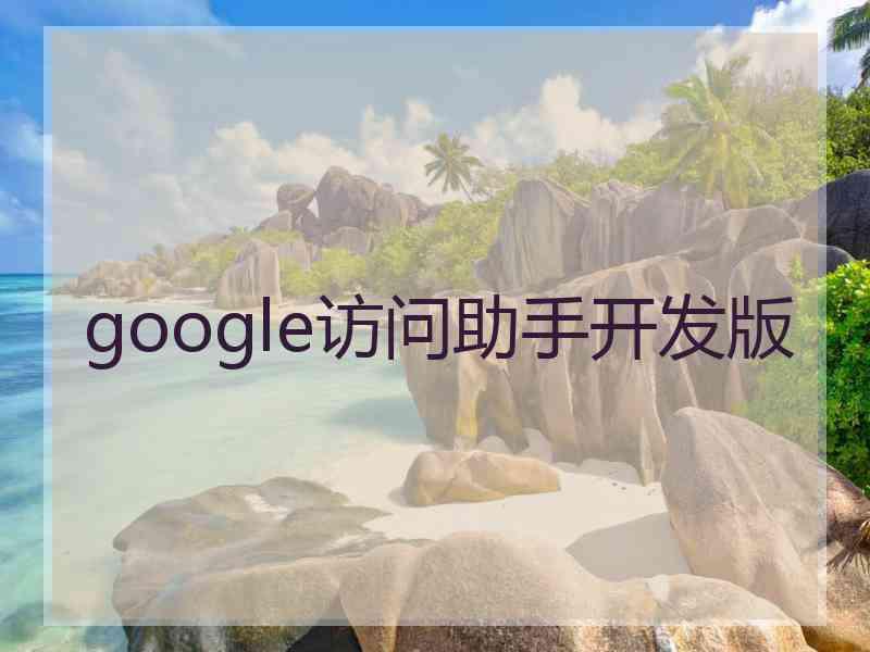google访问助手开发版