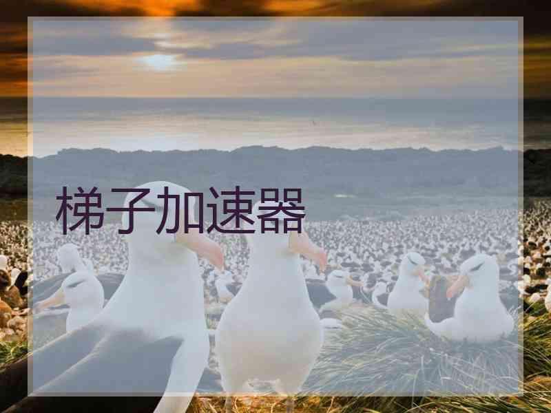 梯子加速器