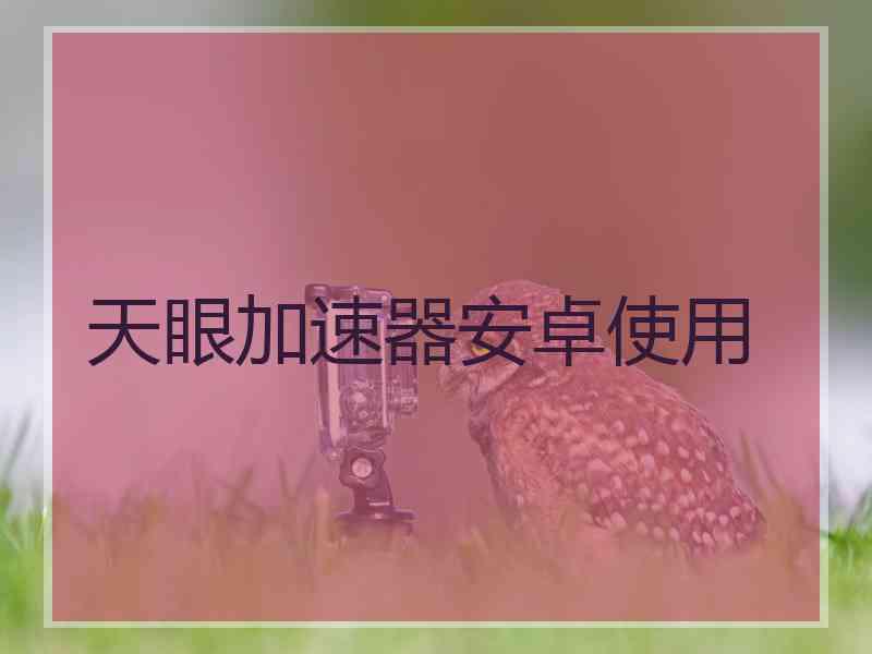 天眼加速器安卓使用