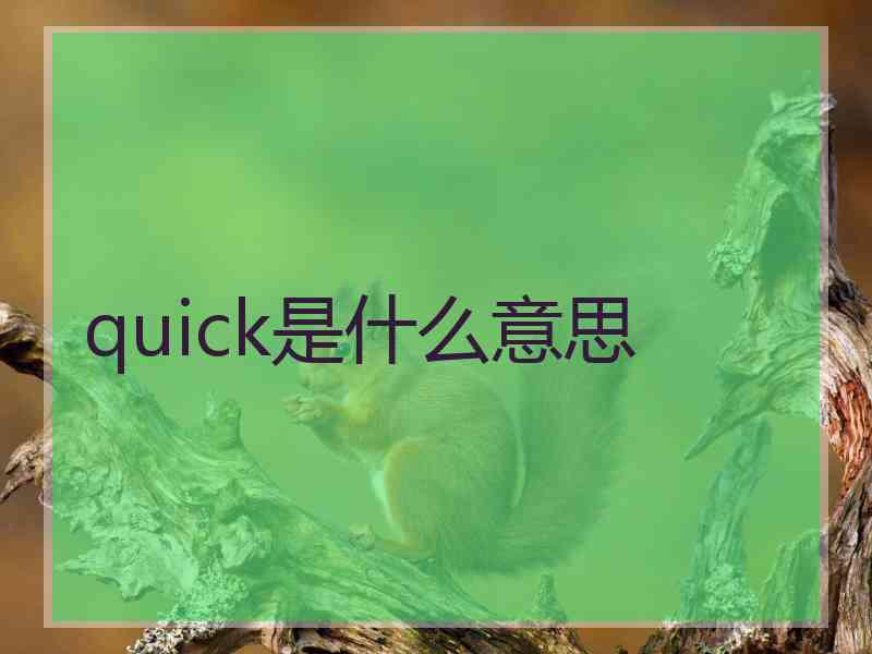 quick是什么意思