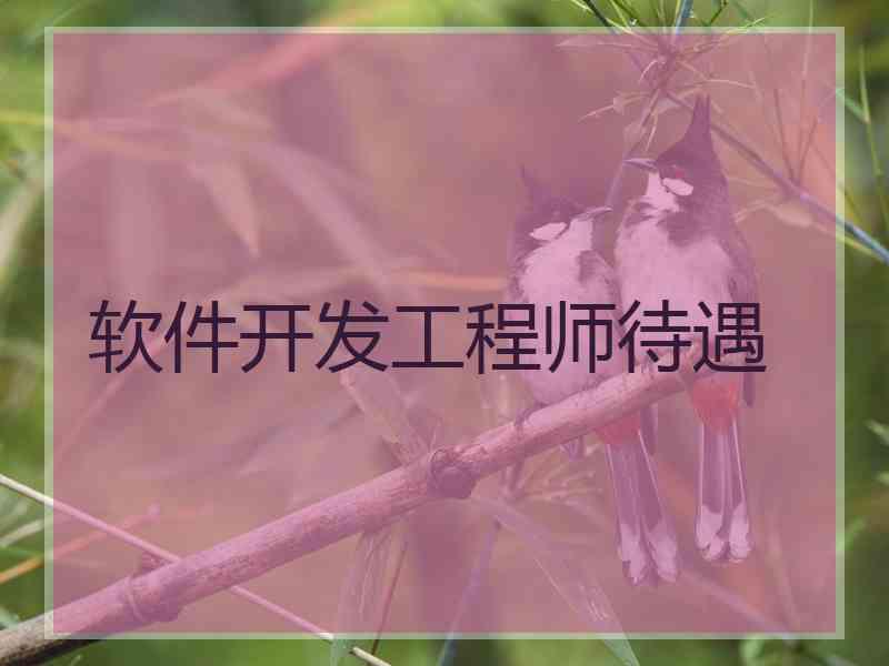 软件开发工程师待遇