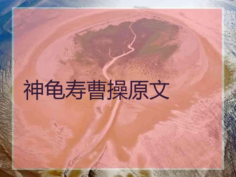 神龟寿曹操原文