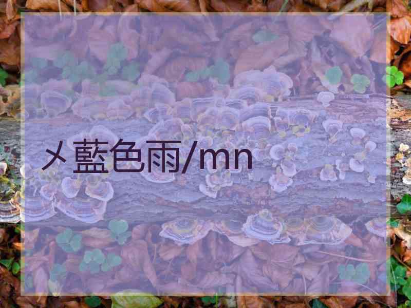 メ藍色雨/mn