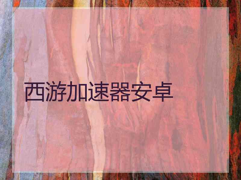 西游加速器安卓