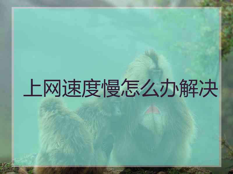上网速度慢怎么办解决