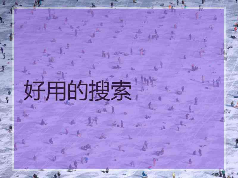 好用的搜索