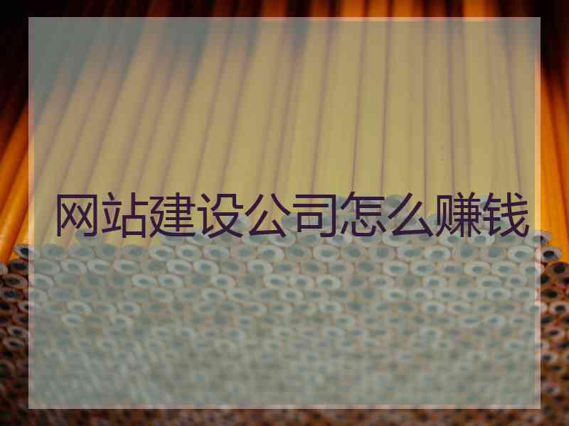 网站建设公司怎么赚钱